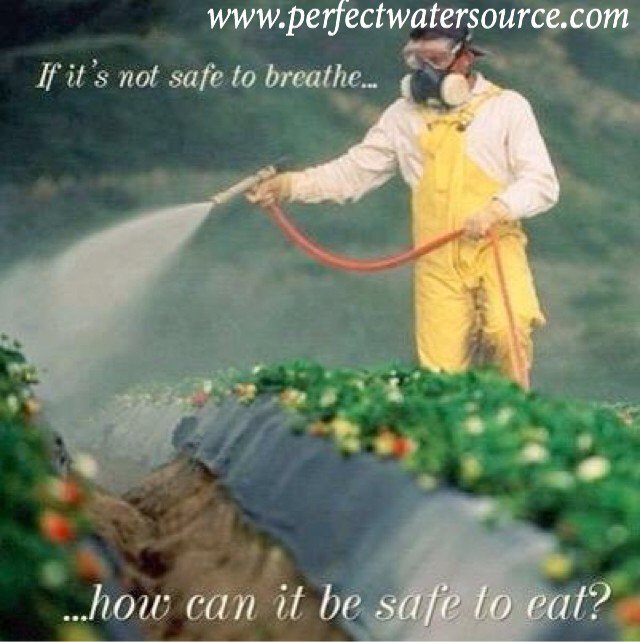 perfectkangen's tweet photo. Toxic oil based pesticides are still on veggies since oil and water don't mix! Wash it with strong #kangenwater https://t.co/tqbQIkCuxO