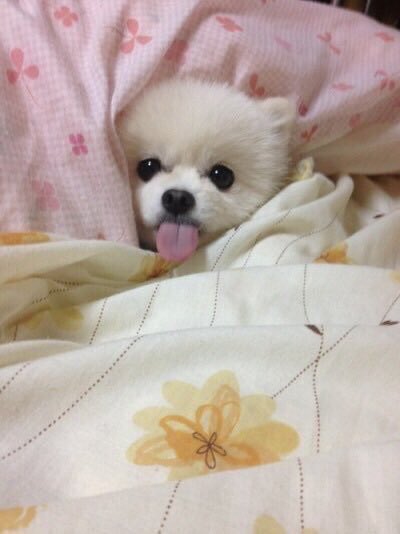 suerose's tweet photo. I see no difference https://t.co/36Wd6H7Msp