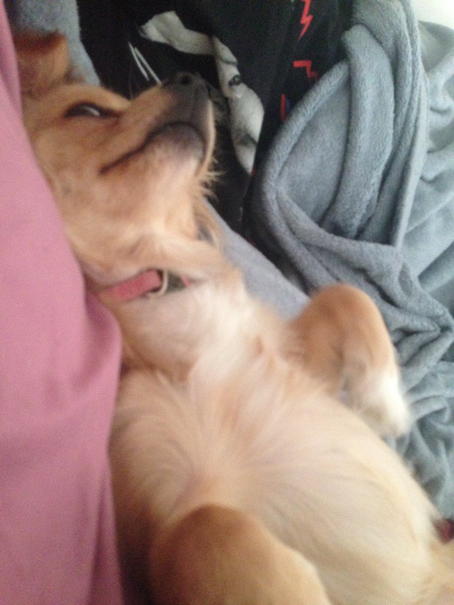 //I stopped rubbing her tummy xD