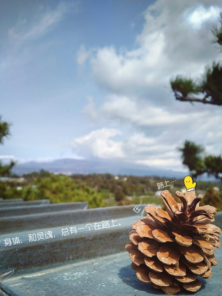 stanlucn's tweet image. 