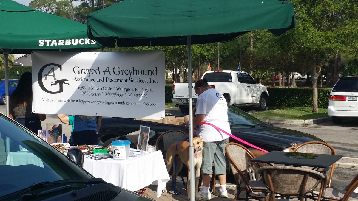 tsandg8r's tweet photo. Another great turnout 4 #Greyed-A-Greyhound adopt event here at #10591 @MannySar @KJusts #A116 #ExtraShotOfGood https://t.co/J0J2aaUM3Z