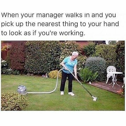 BERMEMES's tweet photo. At work today like.... #Bermuda #bermemes #goodfridee https://t.co/RE6OPjSo36 https://t.co/sG8KfdF7YW
