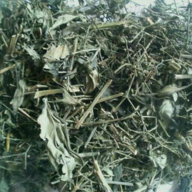 ThienkerBell's tweet photo. Free ongkir nyampe 31 maret, seindonesia.Belanja sambiroto-ku ini hanya di Shopee! https://t.co/6kso1NUb4Y #ShopeeID https://t.co/B6S6OwxBWI
