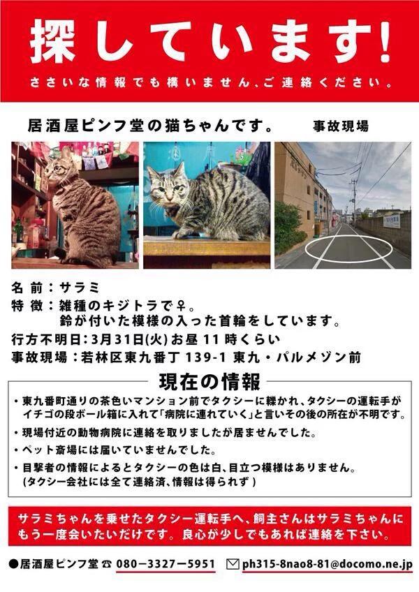 ralkh116's tweet photo. ↪ #猫 #連れ去り ↩
#仙台市若林区東八番町 にて
サラミちゃんをタクシーで撥ね
段ボール箱に入れ病院へ行くと言い残し連れ去った運転手さん

飼主様が待っています
ご連絡ください－

#迷い猫 #盗難 #宮城県

#目撃情報求 https://t.co/q9aTTqLtso