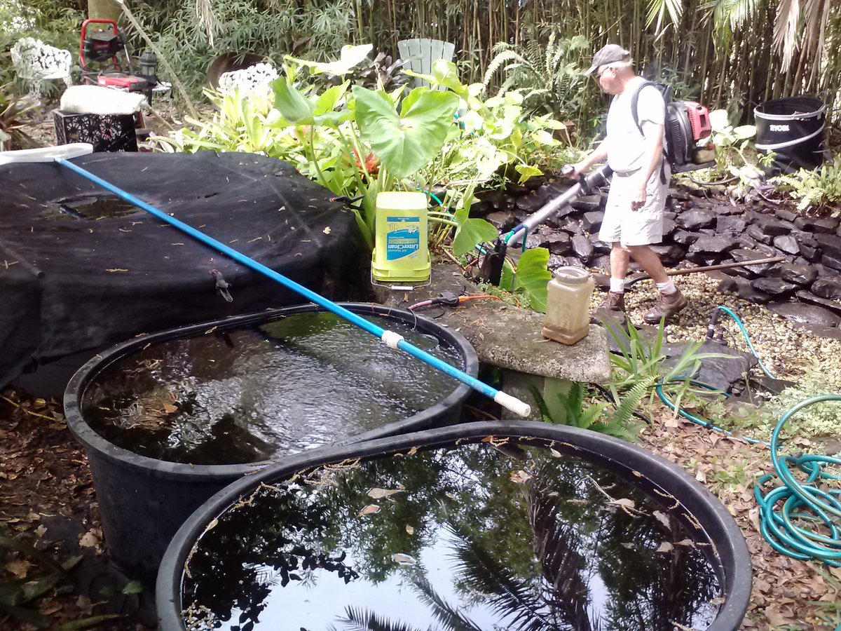 LawnGraphics's tweet image. Its time for koi pond spring cleaning in the #TampaBay area ! 
Visit TigerLillyPonds.com to schedule yours.