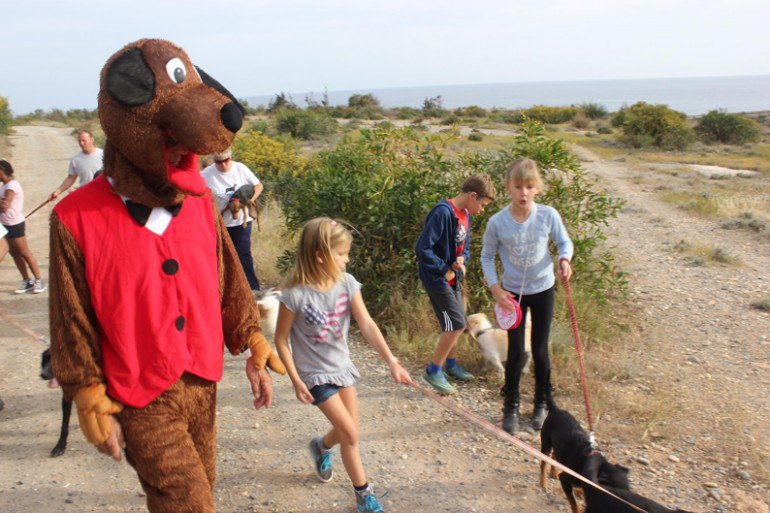 cyprusmail's tweet photo. Animal lover plans to run the @CyprusMarathon in a dog costume: https://t.co/nFBiiAF21h #CyprusMarathon #SunRunFun https://t.co/neb0DAW2vy