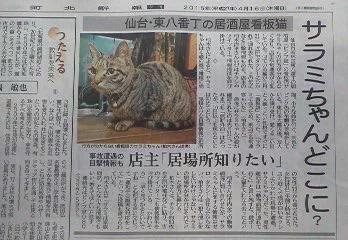 ralkh116's tweet photo. ↪ #猫 #連れ去り ↩
#仙台市若林区東八番町 にて
サラミちゃんをタクシーで撥ね
段ボール箱に入れ病院へ行くと言い残し連れ去った運転手さん

飼主様が待っています
ご連絡ください－

#迷い猫 #盗難 #宮城県

#目撃情報求 https://t.co/q9aTTqLtso