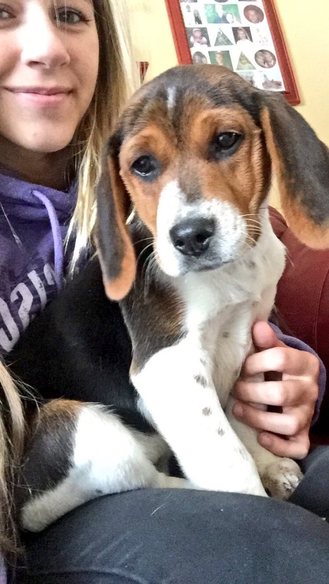 cierabrooke_'s tweet photo. Rest easy little man. You will be so very missed 💔 https://t.co/QWVhrcmHPr