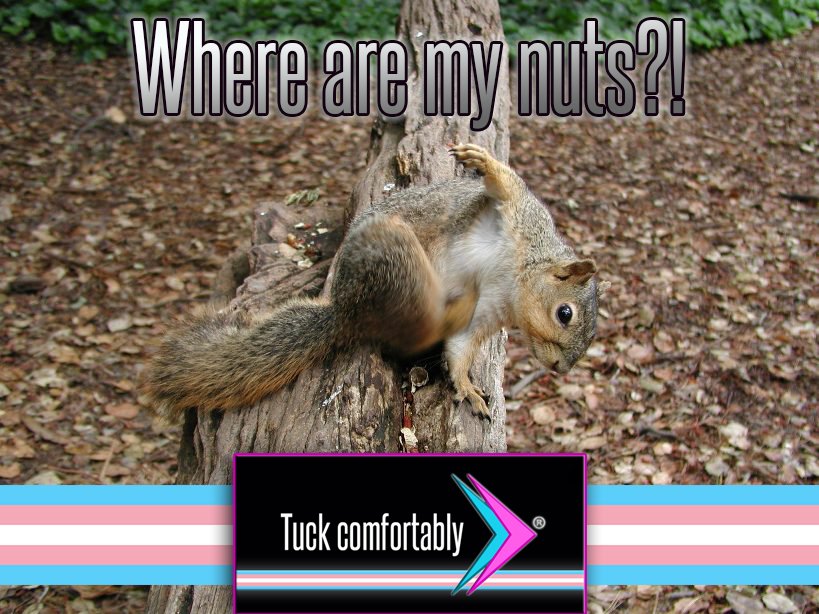 Transwear4less's tweet photo. #transevolution #transgender #transpride https://t.co/P5FY37kGxw