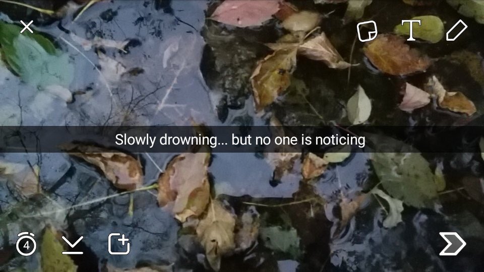 deep snaps (@snapfeeis) on Twitter photo 