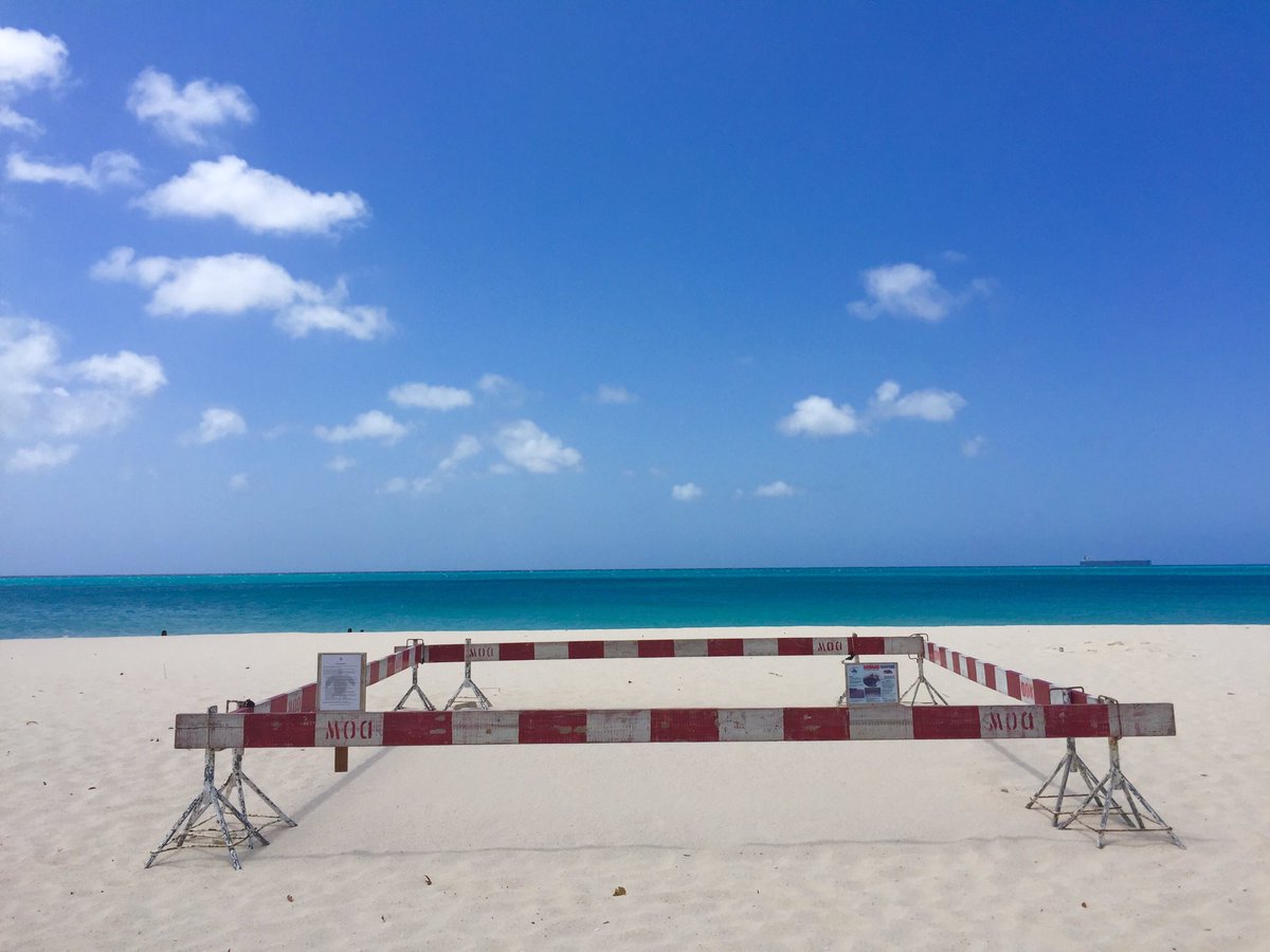 HBidaoui's tweet image. #seaturtlenesting in #Dushi terra @aruba
