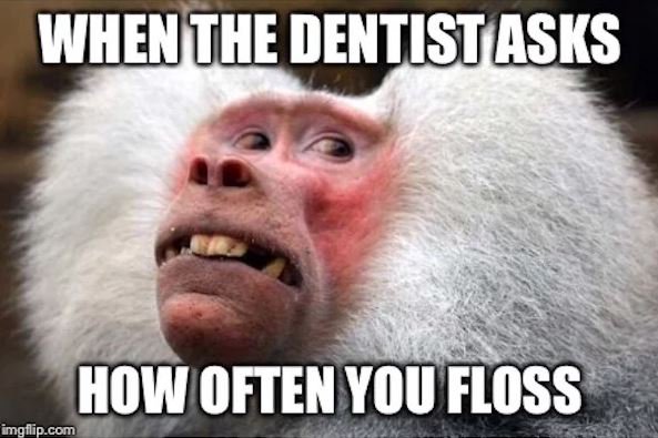 HowardFarran's tweet photo. When the dentist asks how often do you floss? https://t.co/Pc7euJmZxv