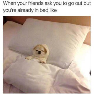 Jen_Maduna's tweet photo. ★ https://t.co/EEglboFIYB