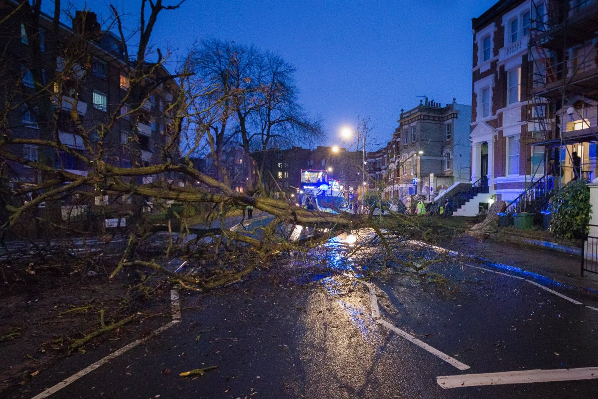 NikCedric's tweet photo. Fallen Tree in West Hampstead. Understand that thankfully no one injured. @WHampstead #WestHampstead #WestEndLand https://t.co/SGMlTisWd6
