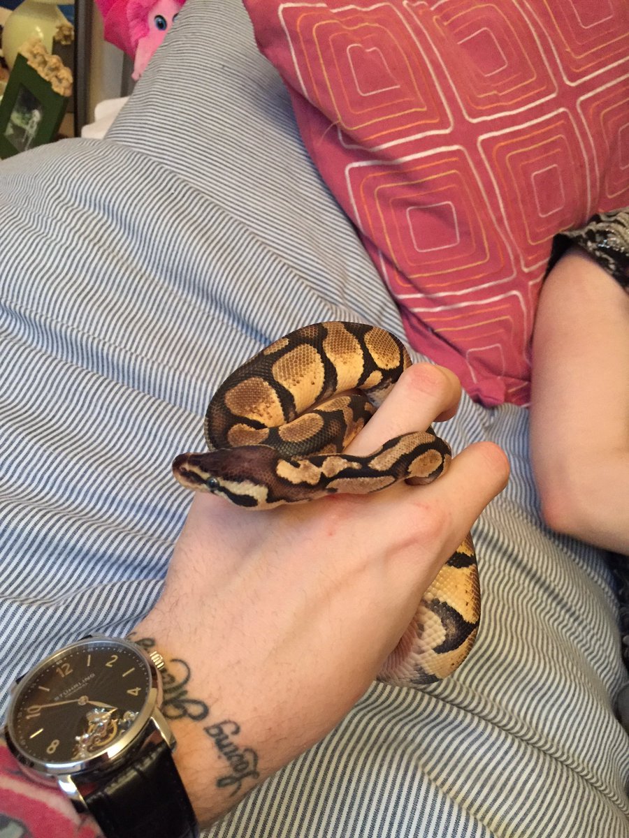 stevieG174's tweet photo. So I'm now the proud owner of a black pastel Royal 🙈😍😬 https://t.co/WA0NPTJSsk