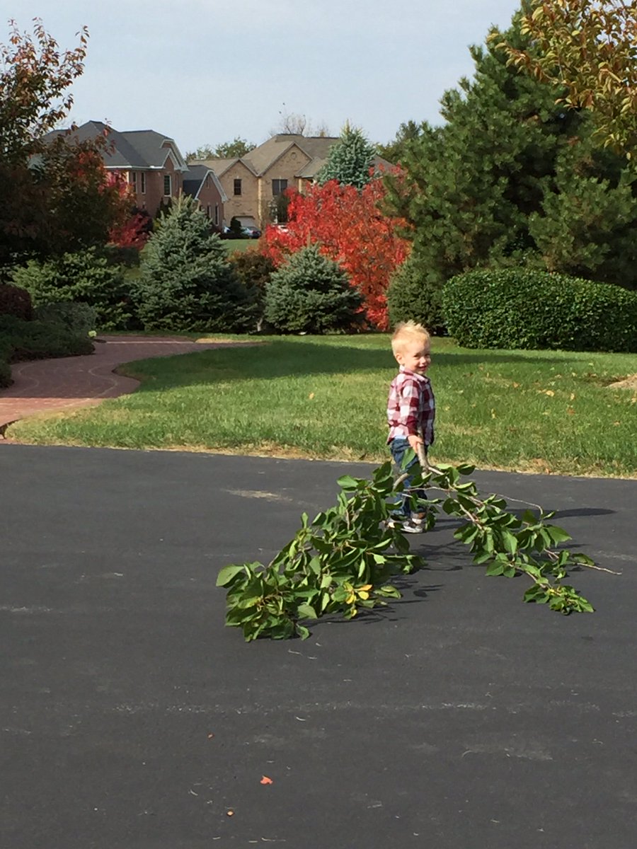 this is a good time to check your trees and prune deadwood - if you have help it’s even better (funner?)