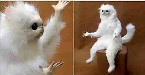 -Cuando nos vemos?
-Cuando quieras
-Mañana?
-No puedo
-Bueno, el lunes?
-No, tampoco
-