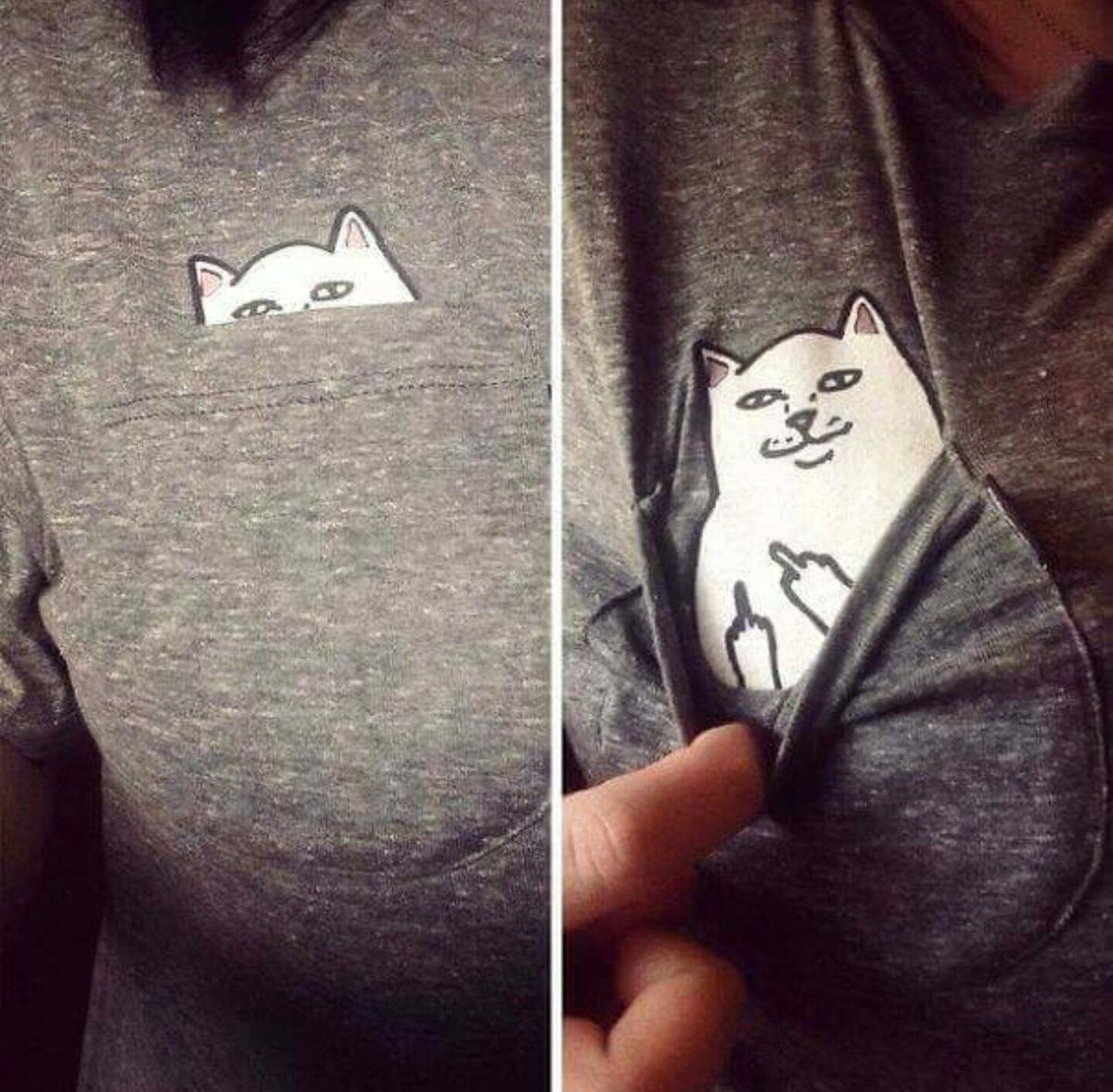 PantsDonkey's tweet photo. Best shirt ever! 😂😂😂 https://t.co/SkGhqIerKN