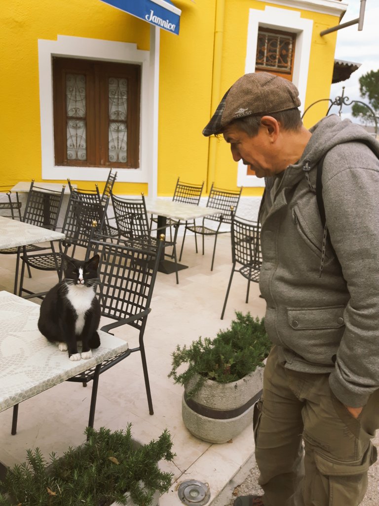 yayajinx's tweet image. gonzo trazi glumce 😂 #catcasting #cats #solodrinker