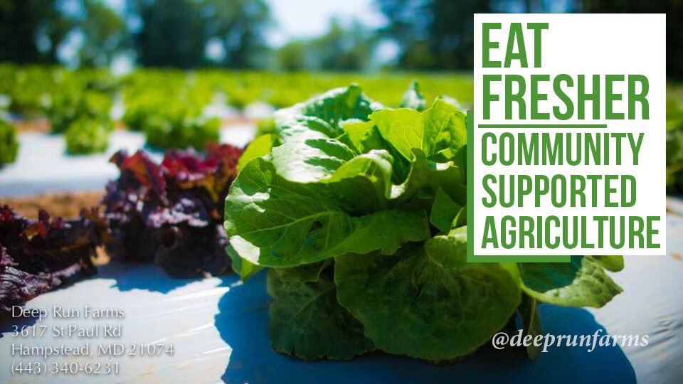 DeepRunFarms's tweet photo. As fresh as you can eat. 

#CommunitySupportedAgriculture #CSA #EatLocal #Farming

https://t.co/VoZ9wmXff6 https://t.co/dFczyDnOYw
