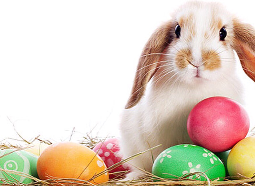 Our Easter hours!!! Enjoy your weekend🐥🐰 Saturday -9-6 Sunday- closed Monday - 9-4