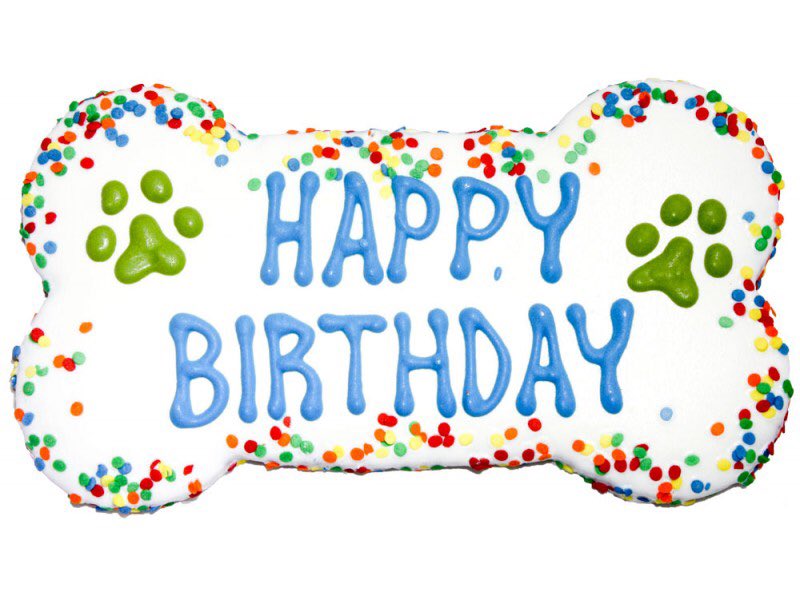 MylotheYorkie's tweet photo. @WestieBichon Appy Birfday pal. Hope yoo haff luffly day https://t.co/HdRneVWvTA