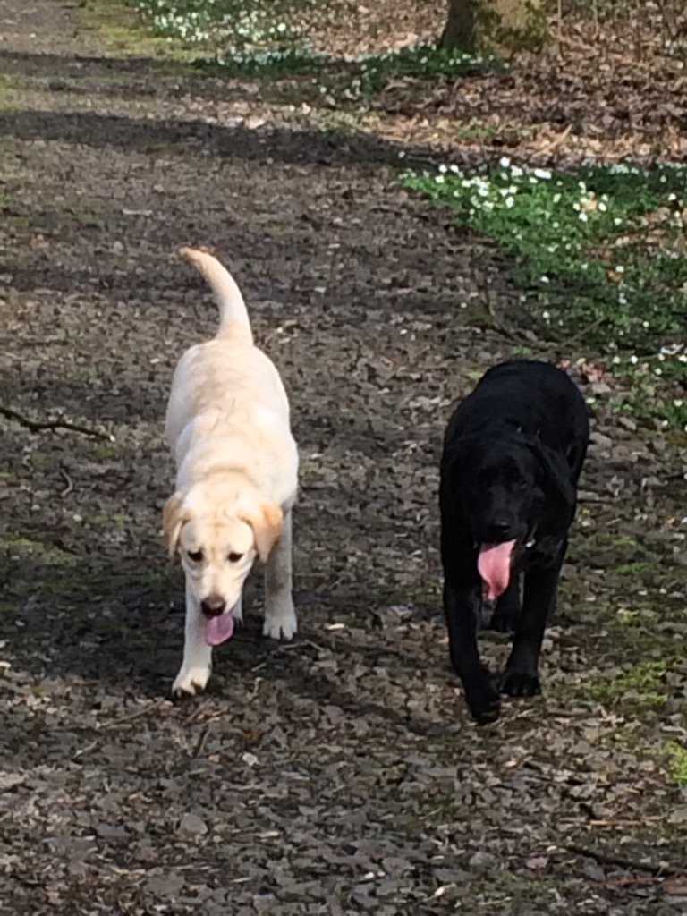 Pierrin Michel tweet media