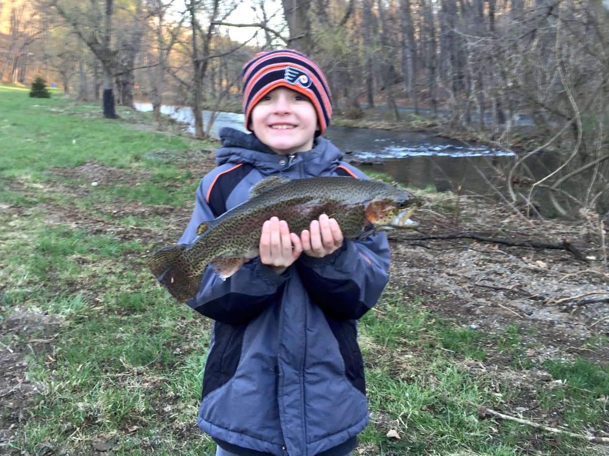 Bryan Freed tweet media