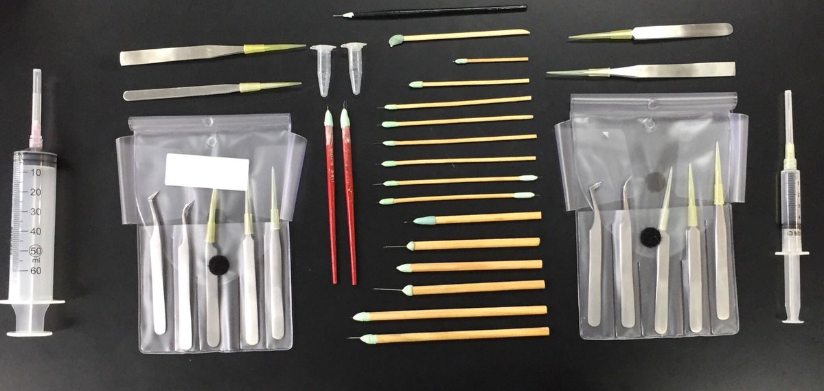 ChristianTimi's tweet image. Mi material de disección de insectos #thingsorganized