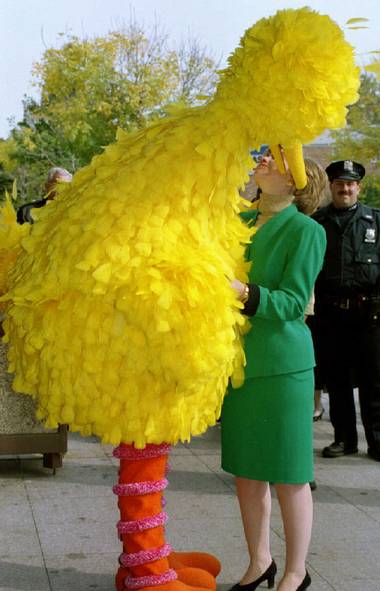 tyleroakley's tweet photo. the birds have spoken https://t.co/gQjwKWyudT