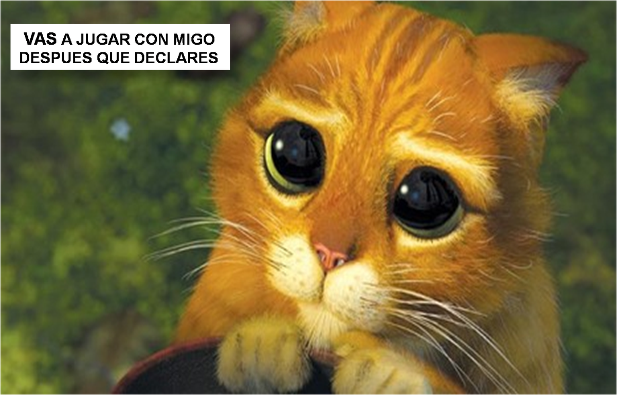 SCOOPERATIVAFIS's tweet image. #VAMOS CONTADORES FALTA POCO PARA TERMINAR LAS DECLARACIONES