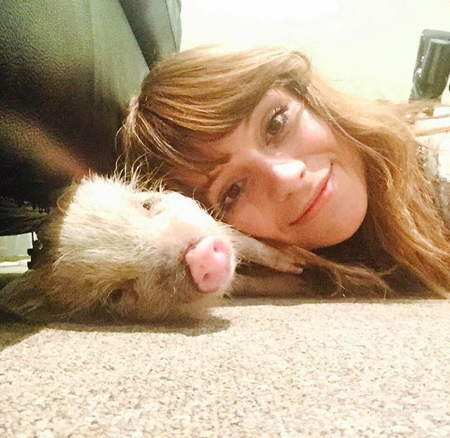 meganagainca's tweet photo. However I am not actually alone. I'm babysitting a teacup pig for a few days. It's a long story. https://t.co/PEBjA3TNDN