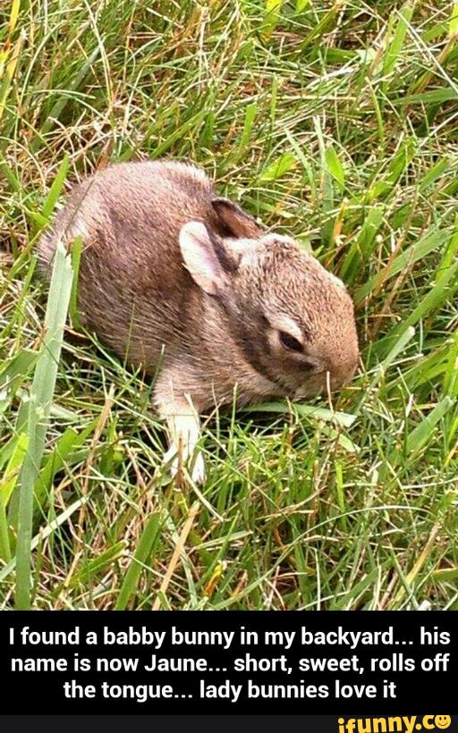Jaune Arc (Maid!) (@shieldedpaladin) on Twitter photo 