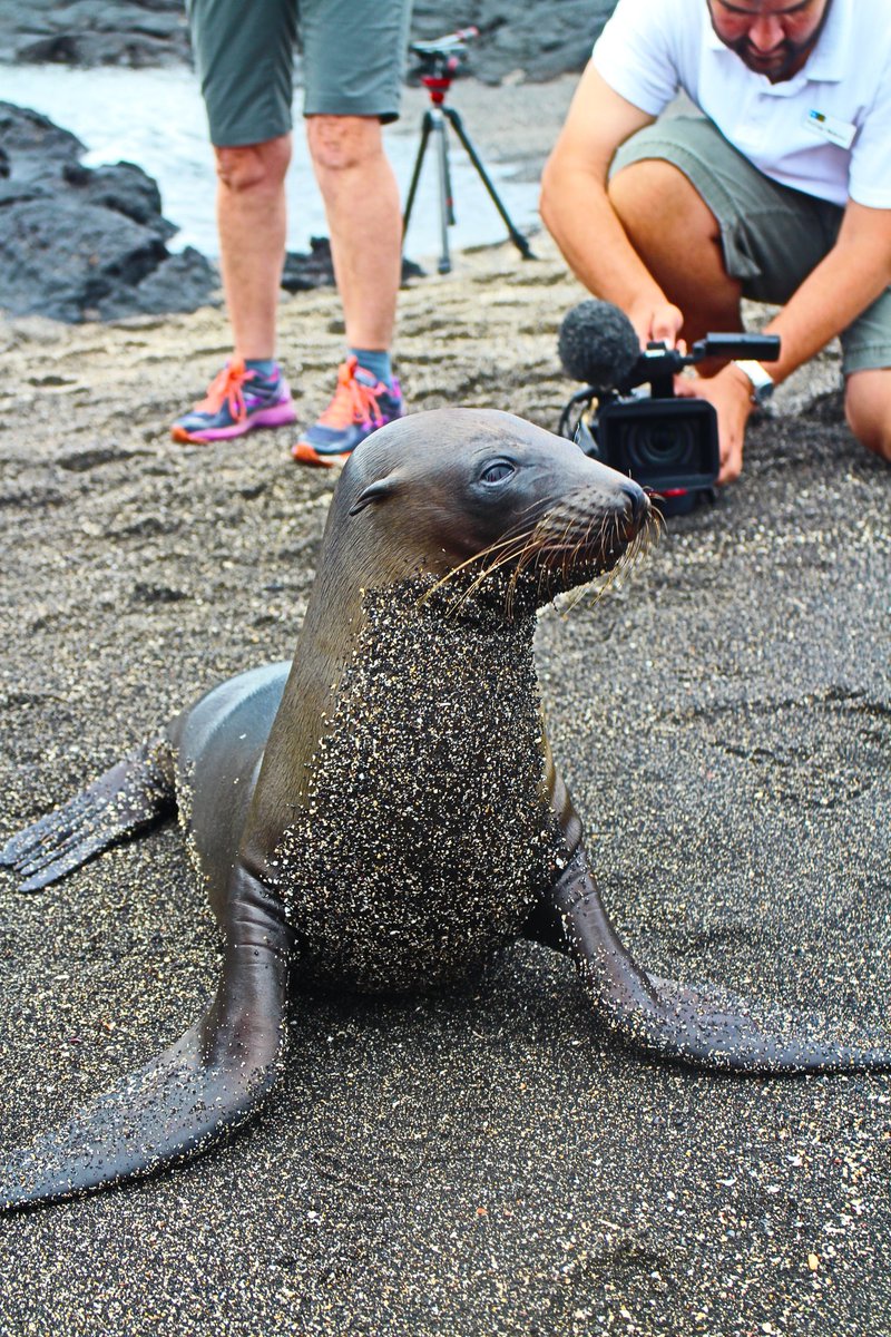 Maggie C tweet media