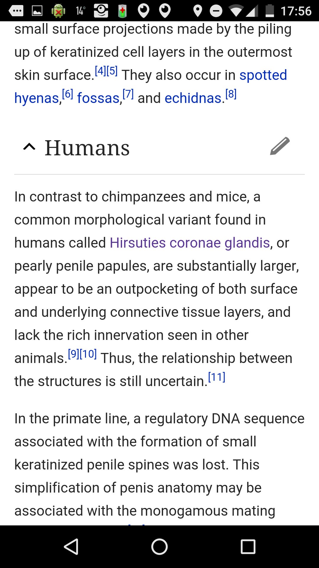 Pearly penile papules wiki
