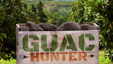 #NRNTrending <a href="/ChipotleTweets/">Chipotle</a> gives free guac &amp; chips with ‘Guac Hunter’ game ow.ly/ZTUUc <a href="/livetodineout/">Lisa Jennings</a>