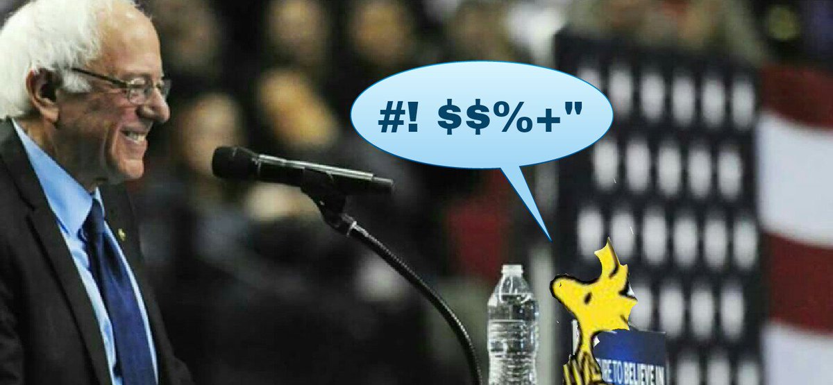BeckyDay77's tweet photo. #BernieBird #birds4bernie #BirdieSanders #BERNIEORBUST https://t.co/rRMm4Goj4W