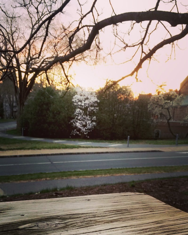 bestofprinceton's tweet image. Sunset’s petals and campus springs #princetagram #maghribtime by @nabshak ift.tt/1Rsmr99