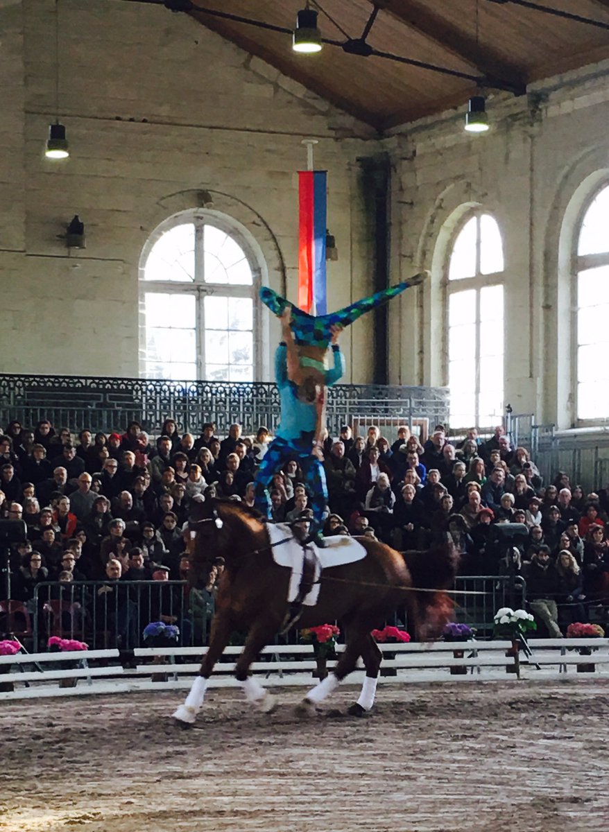 VaultingNews's tweet photo. 2* pas de deux competition - Germany with the horse Wizzard 10 🇩🇪 #voltigesaumur #vaultingsaumur #CVISaumur #CVI2 https://t.co/fTiDdoLA3e