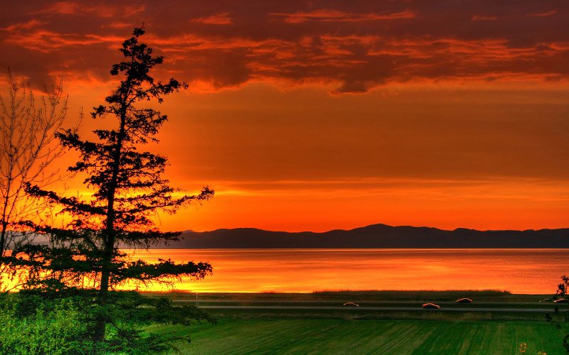 ali (@ali33322216) on Twitter photo 