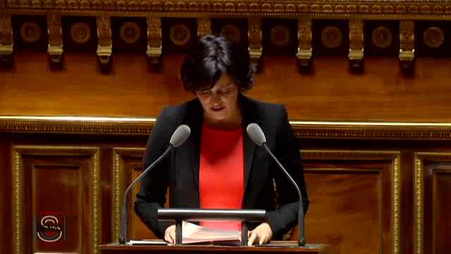 Asso_TSST's tweet photo. TSST au #Sénat avec @anniedavid38 pour un débat sur la #santeautravail et #LoiTravail >> https://t.co/WbXNzlKBFm https://t.co/5XicXuNKvB