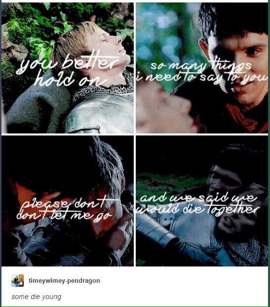 MissingMerlin's tweet photo. #Merlin You better hold on.so many things I need to say to you.please don´t let me go we said we would die together https://t.co/acUzh2Ynml