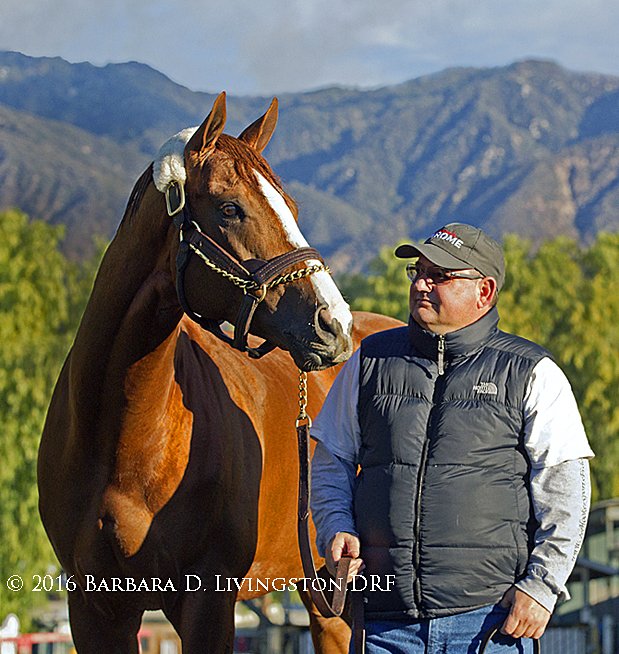 DRFLivingston's tweet photo. A heartfelt CONGRATULATIONS to the connections of CALIFORNIA CHROME, winner of 2016 Dubai World Cup! (photo 1/7/16) https://t.co/qXTM5walFB