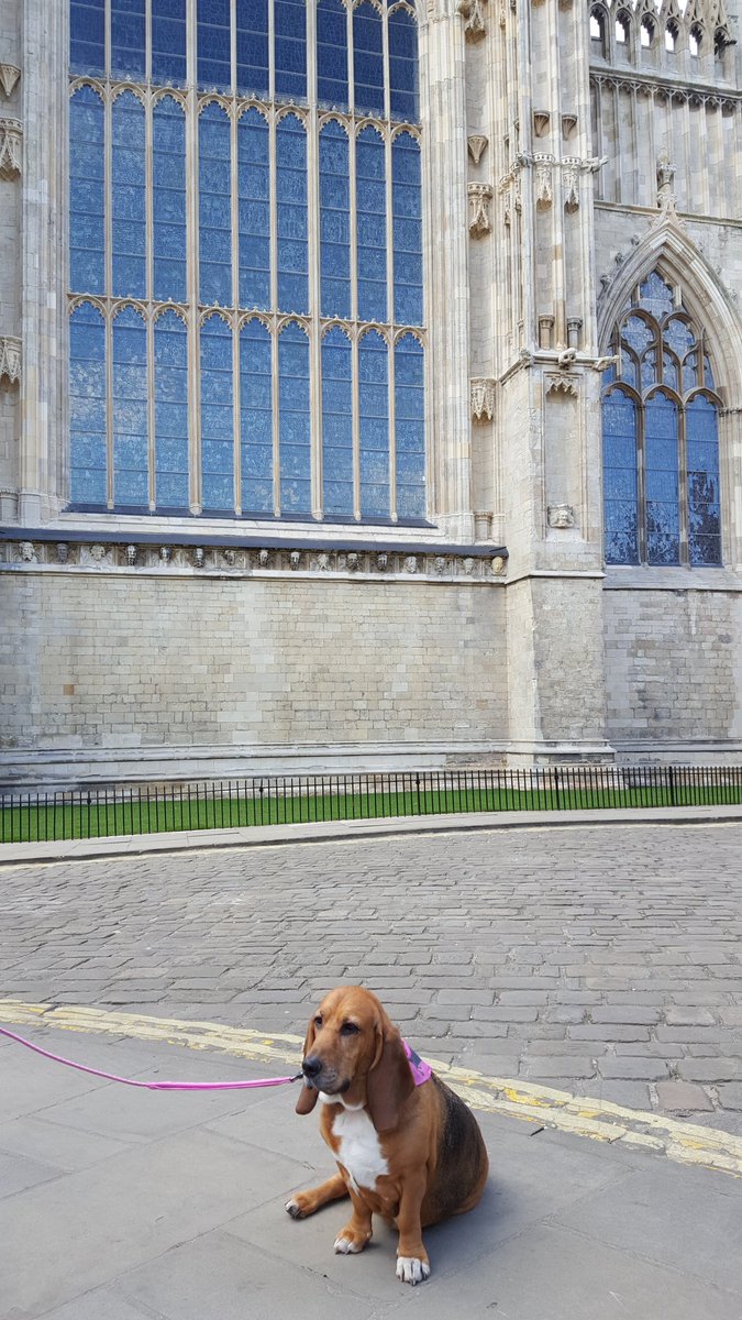 RubyMonster's tweet photo. What's that Dad there is over half of the UK's medieval stained glass in the 128 windows of #yorkminster #rubyfact https://t.co/jAGE21OkJ3