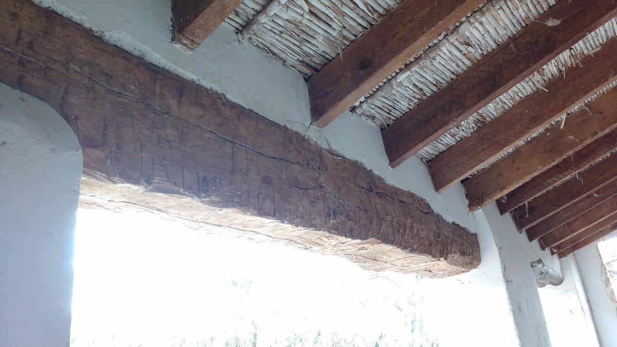 Espadànics escaldats🦎 tweet media