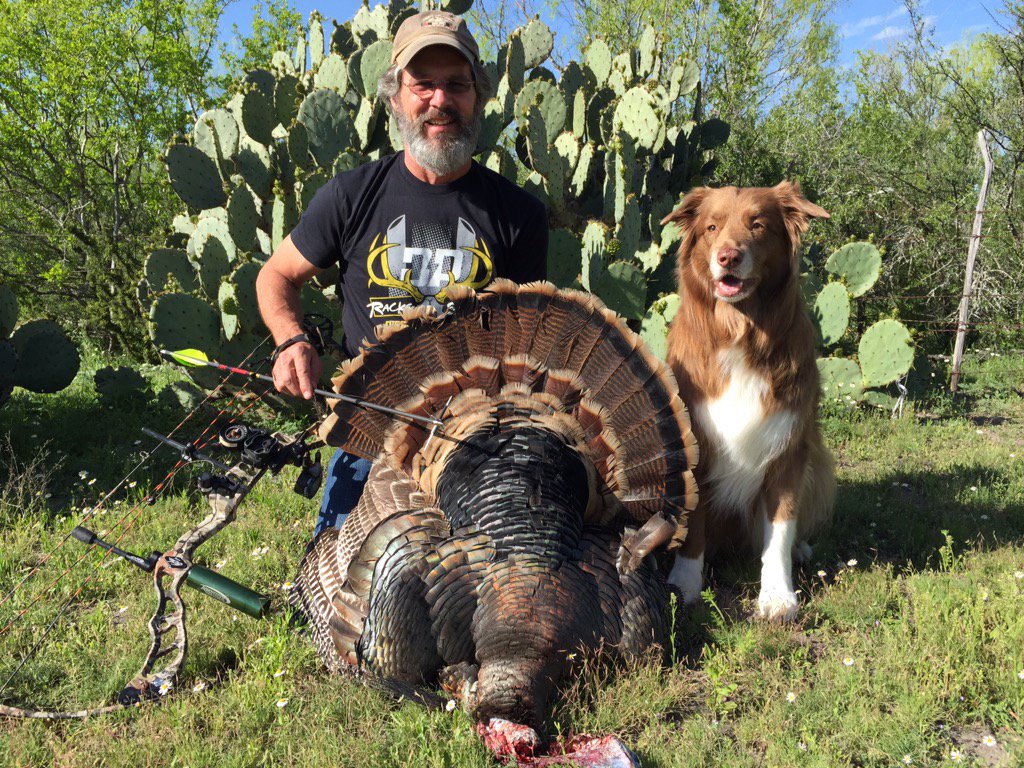 MatthewFuttere's tweet photo. Guillotine beheading Gobblers since 2003. https://t.co/uN1M7ECFGl