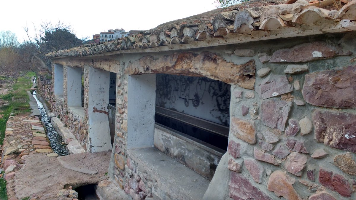 Espadànics escaldats🦎 tweet media