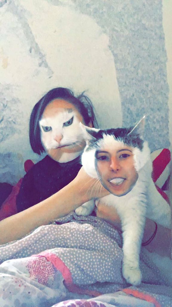 ElisaLvn's tweet photo. Quand je suis un chat #chatpower https://t.co/1iHH7QjZvo