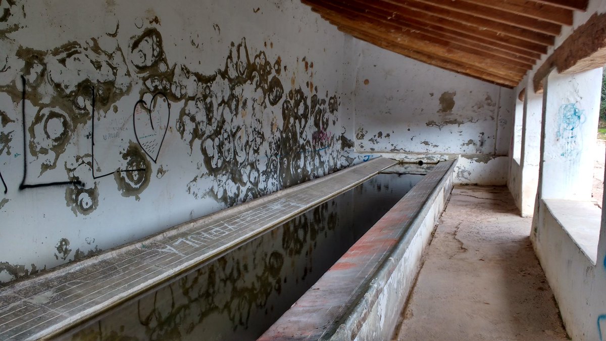 Espadànics escaldats🦎 tweet media