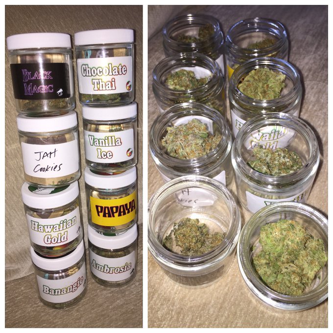 Which one do I smoke first? 😋 #choices https://t.co/rbQr8LO6nZ<a href="/tag/choices"class="tags">#choices</a>